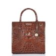 Brahmin Women s Melbourne Caroline Satchel Sale