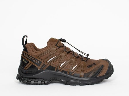 Salomon XA PRO 3D Gore-Tex Brown Online