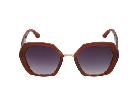 Carlton London Brown & Gold Toned Uv Protected Oversized Sunglasses For Women For Discount