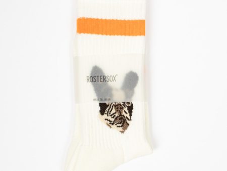 RS-278 Dog Socks Orange Sale