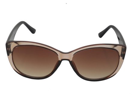 Carlton London Brown & Black Toned Uv Protected Rectangle Sunglasses For Women Supply