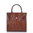 Brahmin Women s Melbourne Caroline Satchel Sale