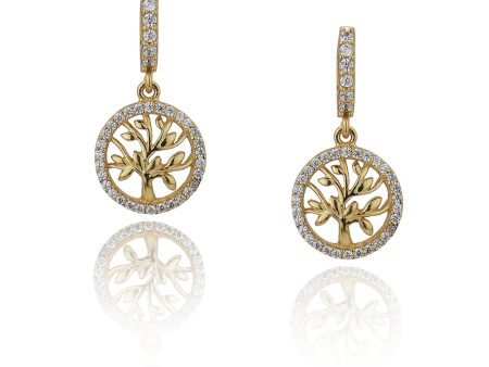 Carlton London Gold Plated Cz Studded Circular Hoop Earrings For Women Online Sale