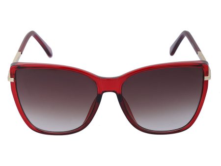 Red and Gold Toned UV Protected Lens Cat Eye Sunglass for women Discount